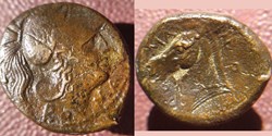 Litra romano-campanien ROMANO minerve / tête de cheval