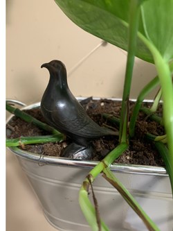 Pigeon en bronze