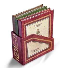 PETITS CARNETS DANS UN ETUI