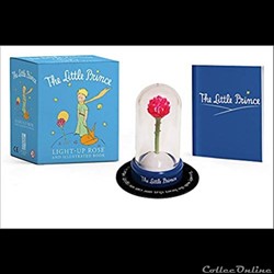 Rose lumineuse et petit livre