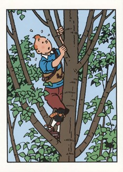 Carte - Moulinsart - 12x17 - Double+Enveloppe - Tintin (CD026)