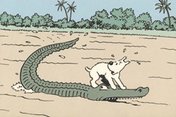 Carte - Casterman - 10x15 - 1993 - Tintin au Congo
