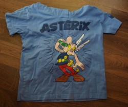 Sweet à capuche enfant - Parc Astérix - 2016 - 5/6A - Astérix