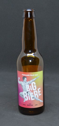 Big Bière - Blonde - FR - 5% - 33cl