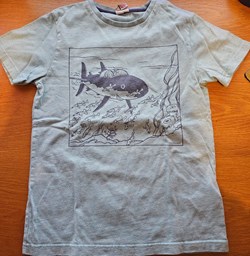 T-shirt enfant - Le trésor de Rackam Le Rouge