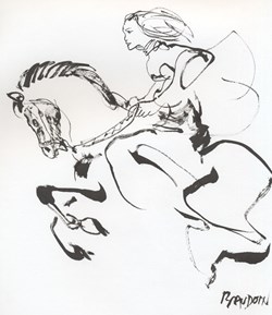 Peau d'ane (Edmond Baudoin)