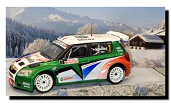 2010 - N°007 - Skoda Fabia S2000