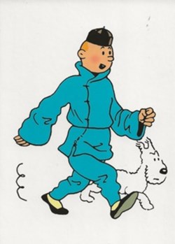Tintin