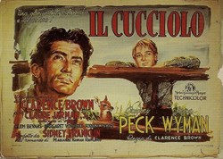 Il cucciolo