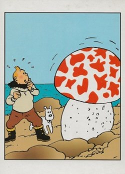 Tintin
