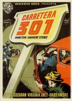 Carretera 301