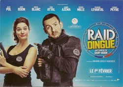 Raid dingue