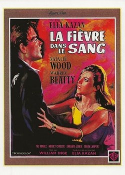 La fièvre dans le sang