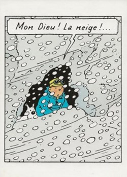 Tintin