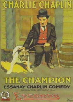 The champion