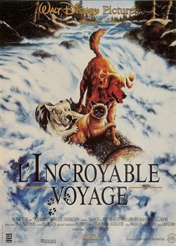 L'incroyable voyage