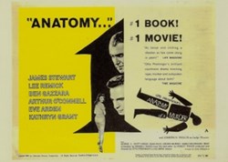 Anatomy of a murder