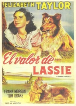 El valor de Lassie