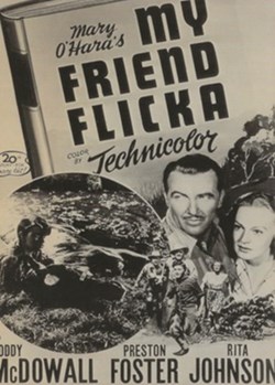 My friend Flicka