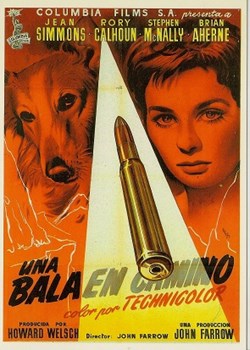 Una bala en crimino