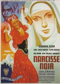 Le narcisse noir