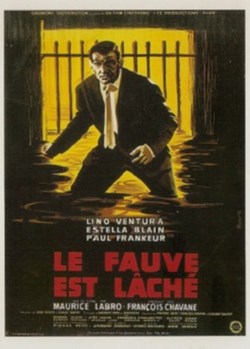 Le fauve est laché