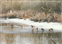 Albert Festival du film animalier 1991
