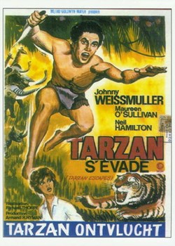Tarzan s'évade