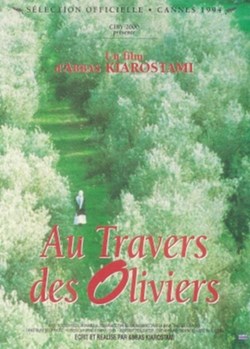 Au travers des oliviers