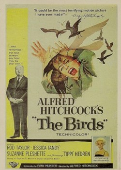 The birds