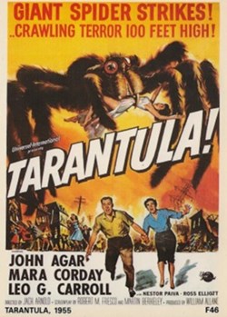 Tarantula