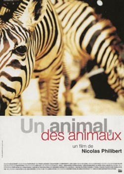 Un animal, des animaux
