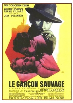 Le garçon sauvage