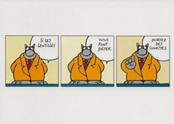 Le chat
