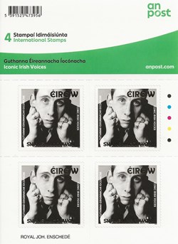 ZZZ Bloc (Irlande) 2024 - Shane MacGowan