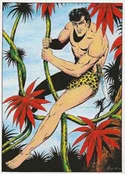 Akim