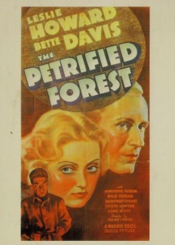 The petrified forest