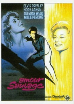 Amour sauvage