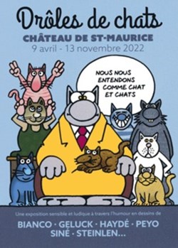 Le chat
