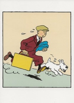 Tintin