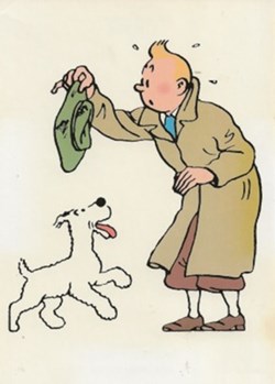 Tintin