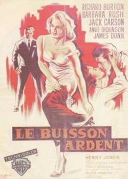 Le buisson ardent