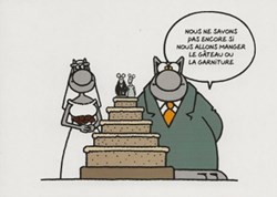 Le chat