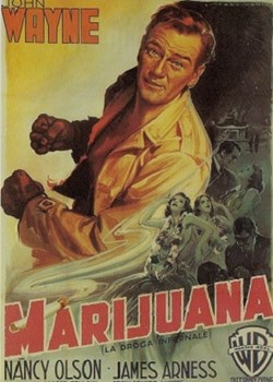 Marijuana