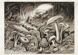 ZZ Méliès Le voyage dans la lune (6)