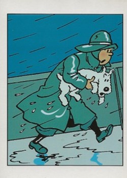 Tintin
