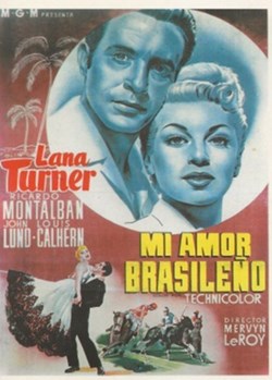 Mi amor brasileno