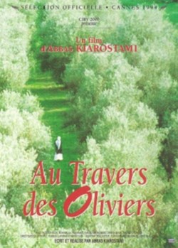 Au travers des oliviers