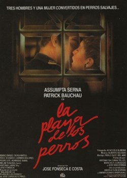 La playa de los perros