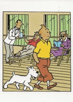Tintin